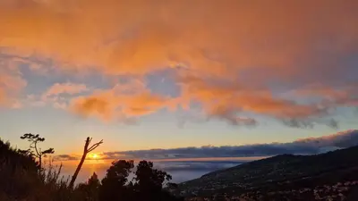 a sunset over a body of water with a tree at Madeira Mountain Paradise - Casa da Levada do Arco in Arco da Calheta