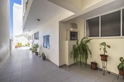 a hallway with potted plants in a building at Apartment - The Historical Center of Funchal in Alojamento Local in Funchal