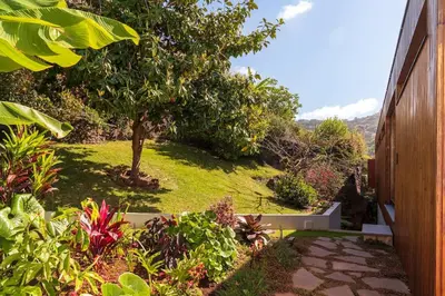 a garden with a tree and a walk way at Botanica Living Magnolia Apt in Quinta Grande