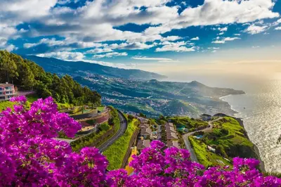 a view of the amalfi coast with pink flowers at Botanica Living Magnolia Apt in Quinta Grande