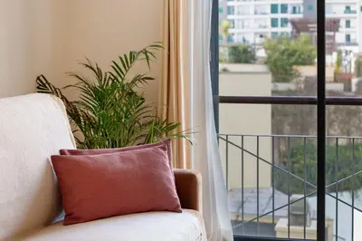 a couch in front of a window with a plant at Forum T0 Plus in Funchal