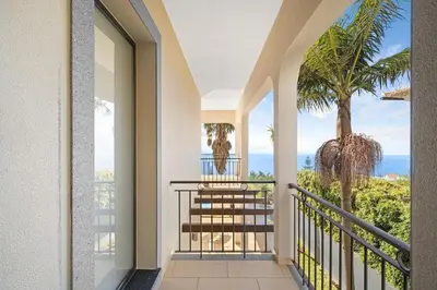 a driveway of a house with palm trees in it at 17 ° West, Lux. Inf. Pool villa, 5 minutes to the sandy beach, WiFi in Estreito da Calheta