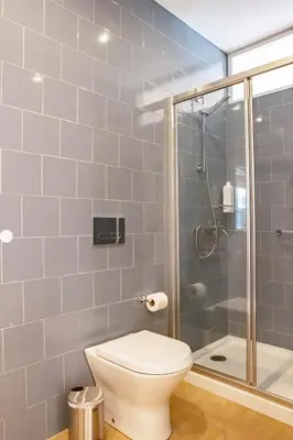 a bathroom with a toilet and a shower at ISABELLA STUDIOS FUNCHAL in Funchal