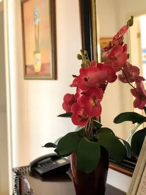 a vase with red flowers on a desk with a phone at Costa's OldTown House in Funchal in Funchal