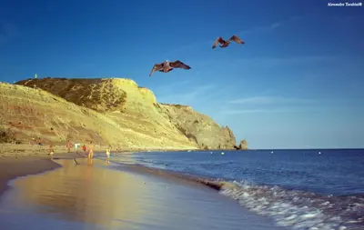 two kites flying in the sky over a beach at A12 - Praia da Luz Center Apartment in Alagoas