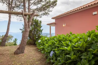 a house with a tree and some bushes at Quinta do Santo by LovelyStay in Santo da Serra