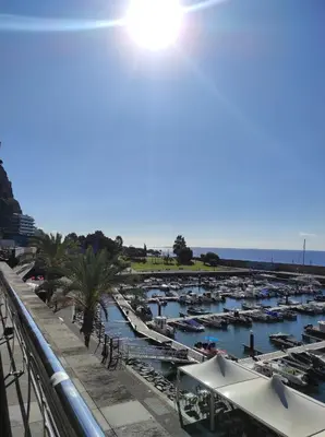 a bunch of boats parked in a marina at Casa Câmara in Arco da Calheta