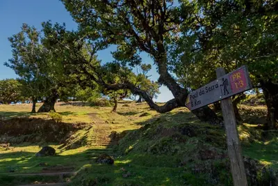 a sign in a field with trees and stairs at Casa Pereira – Snooker, Wi-Fi, Bbq, Pool in Relógio do Poiso