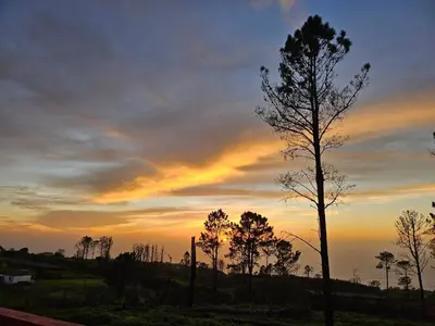 a sunset with a tree in the foreground at Maravilha da Costa in Ponta do Pargo