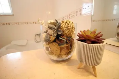 a vase filled with rocks and a plant on a table at Bonita Moradia c/ Piscina em SAGRES in Sagres