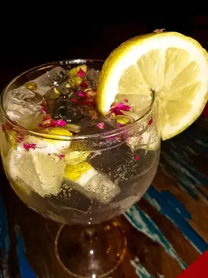 a glass of water with a lemon slice in it at CASA DA HORTA in Aljezur