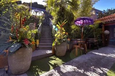 a garden with some plants in large vases and stairs at Dazkarizeh73 in Ribeira Brava