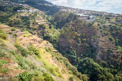 auliculiculiculiculiculiculiculiculiculiculiculiculiculiculic at Atouguia House - Traditional House in Calheta