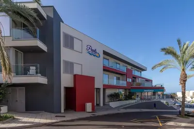a building with a palm tree in front of it at The Jolie - Lava Pools Apartments in Porto Moniz