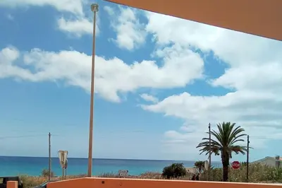 a view of the ocean with a palm tree and a stop sign at Praia Encantada in Porto Santo