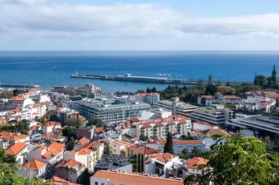 an aerial view of a city with the ocean at Funchal Plaza in Funchal