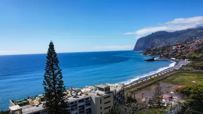 a view of a beach with a tree in the foreground at Caracas Escape by LovelyStay in Funchal