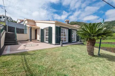 a house with a palm tree in the yard at Vivenda Alves by GALMI in Gaula