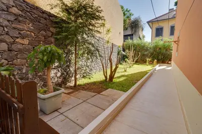 a walkway next to a stone wall with a tree at Sunscape T2 in Funchal