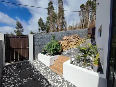 a fence with a pile of fire wood and plants at Casa Vicente in Arco da Calheta