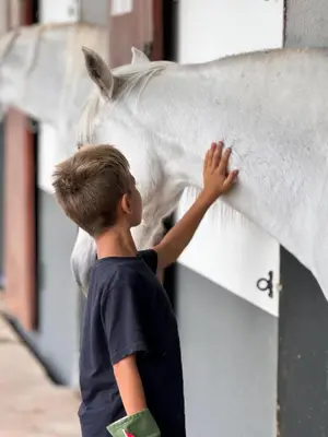 a young boy is petting a white horse at Profetas GuestHouse in Porto Santo