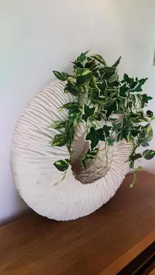a plant on a white plate on a table at Carrapateira Retreat in Carrapateira