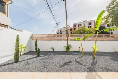 a courtyard with trees and a white wall at Cozy Retreat - By WeHost in Funchal