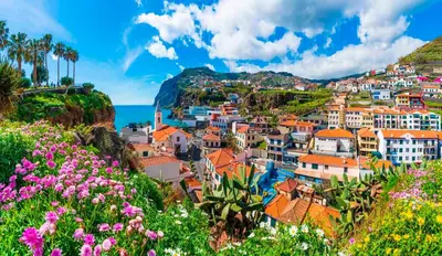 a view of a town on a hill with flowers at Sunset house in Paul do Mar