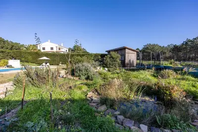 a garden with a house and a pool at Villa Natureza in Aljezur