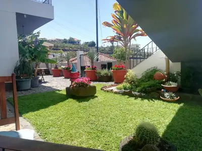 a garden with plants and flowers on a balcony at Madeira Holiday Flats in Funchal