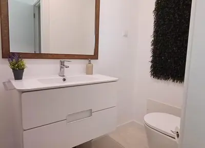 a bathroom with a sink and a mirror and a toilet at The Tree of Life House in Ponta do Sol