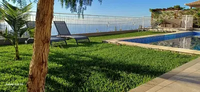 a yard with a pool and a chair next to a palm tree at The Tree of Life House in Ponta do Sol
