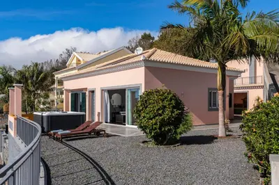 a small pink house with a palm tree at Casa da Quinta Grande by An Island Apart in Câmara de Lobos
