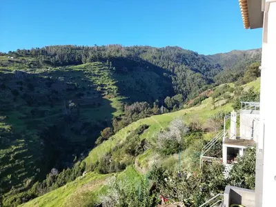 a view of a green hillside with trees at Casa do Vale da Estrela in Calheta