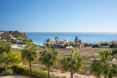 a group of palm trees in front of the ocean at Casa Chloe Luxury Oceanview Penthouse in Lagos