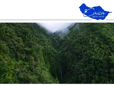 a mountain covered in trees with a blue sign on it at Holiday home Casa Brisa Mar in Prazeres in Prazeres