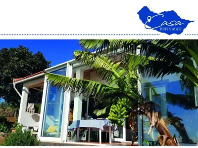 a house with a banana tree in front of it at Holiday home Casa Brisa Mar in Prazeres in Prazeres