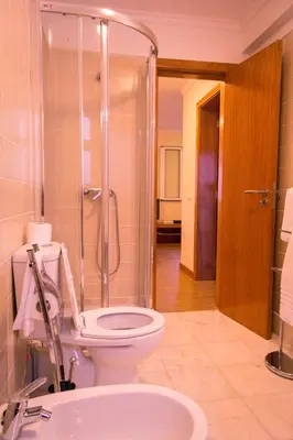 a bathroom with a toilet and a shower and a sink at Apartments Madeira Old Town in Funchal