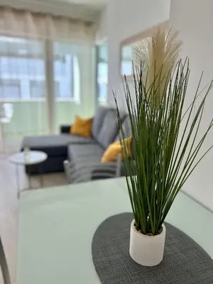 a potted plant sitting on a table in a living room at Lido Branca by Olá Madeira in Funchal
