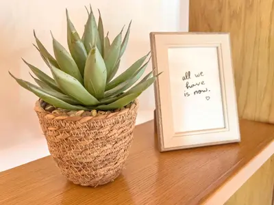 a plant sitting on a table next to a framed picture at Calheta Bay View House - Family and Group Residence in Arco da Calheta