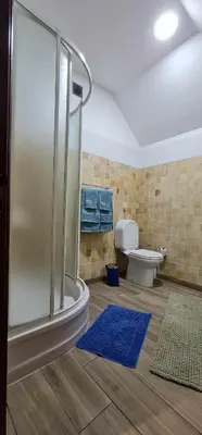 a bathroom with a shower and a toilet and blue mats at Casa Monte de Paz in Calheta