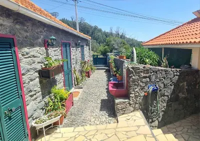 a stone wall with potted plants next to a house at Casa Monte de Paz in Calheta