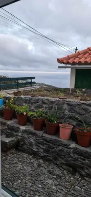 a row of potted plants sitting on a stone wall at Casa Monte de Paz in Calheta