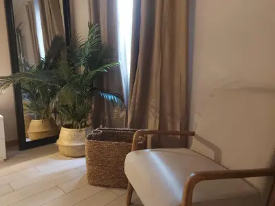 a living room with a chair and two plants at Seminario Classic Apartment in Funchal