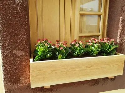 a wooden window box with pink flowers in it at Sao Thiago House Madeira in Funchal