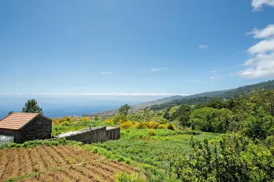 a view of a field with a building on a hill at Refugio Do Lourinho in Calheta