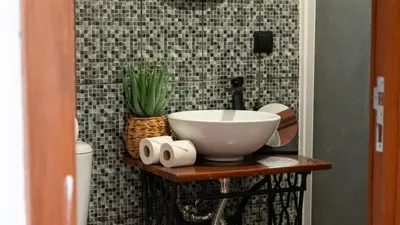 a bathroom with a sink and a plant on a shelf at Stonewood Valley by LovelyStay in Curral das Freiras