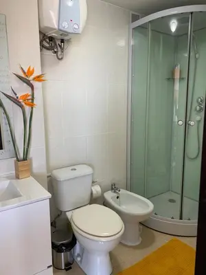 a bathroom with a toilet and a shower and a sink at Apartamento do Mar e Lua in Funchal