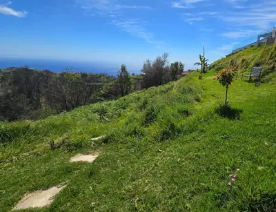 a grassy hill with a bench on top of it at Horizon Retreat in Calheta