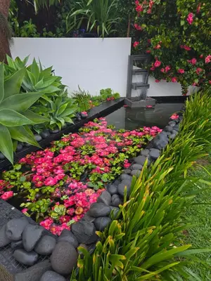 a garden with flowers and a pond at Horizon Retreat in Calheta